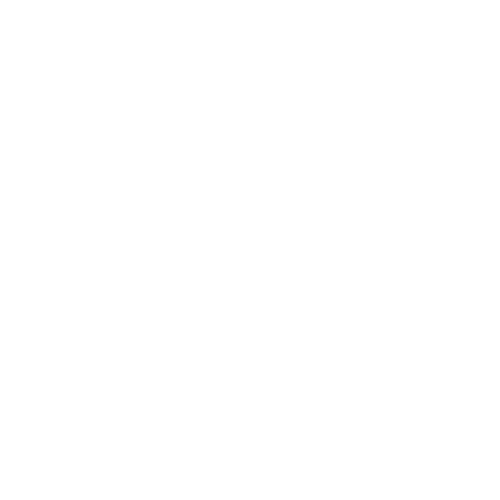 custom order cost icon