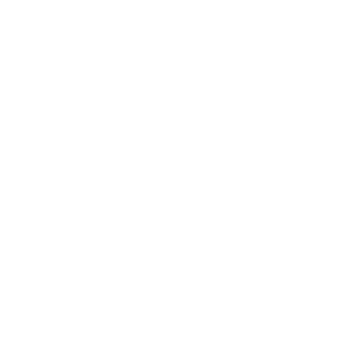 order customization icon